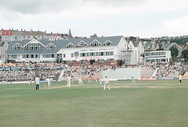 cricket01.jpg