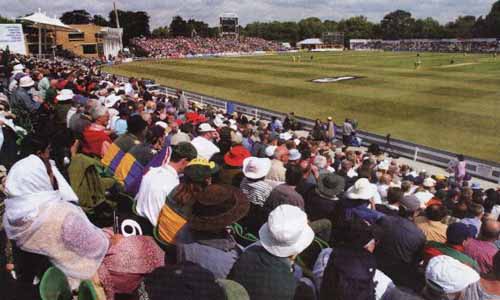 cricket02.jpg