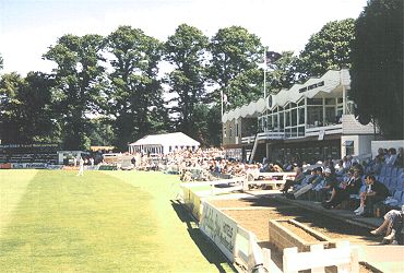 cricket_04.jpg